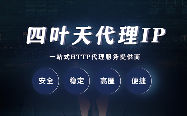 【中卫代理IP】代理ip客户端使用教程