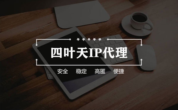 【中卫代理IP】如何快速搭建代理IP？怎么检查代理的效果？